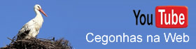 Canal Cegonhas na Web
