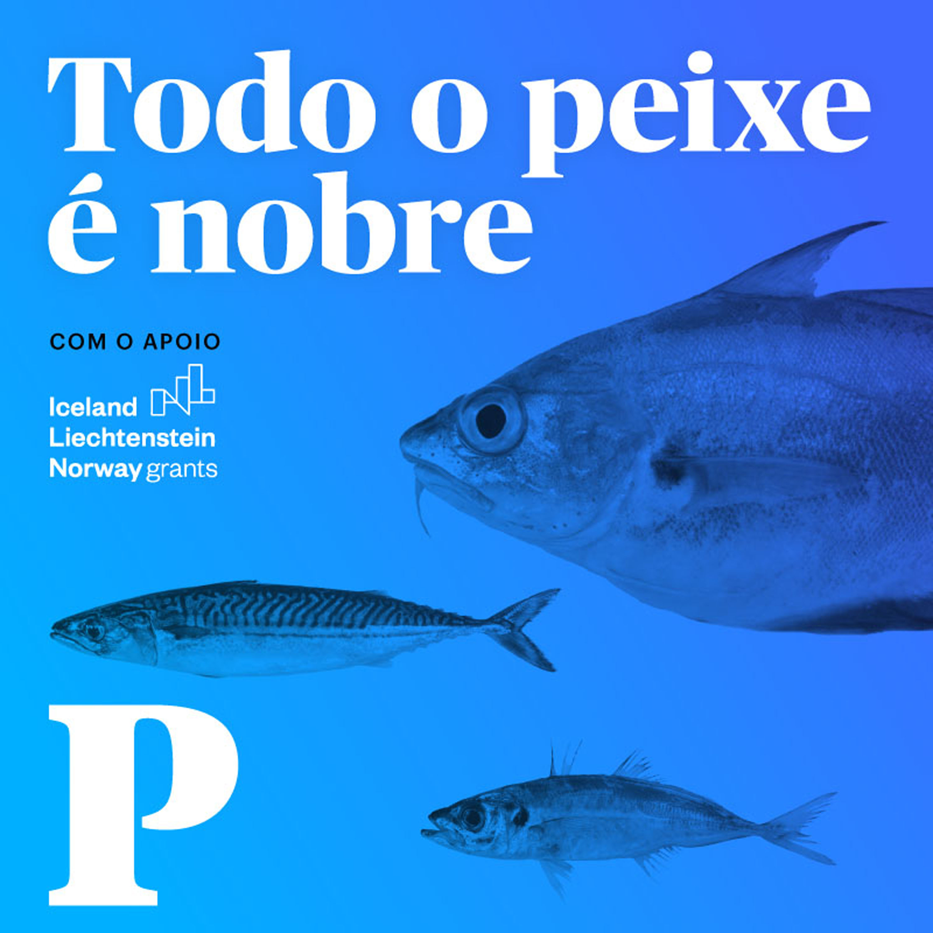 Todo o Peixe é Nobre