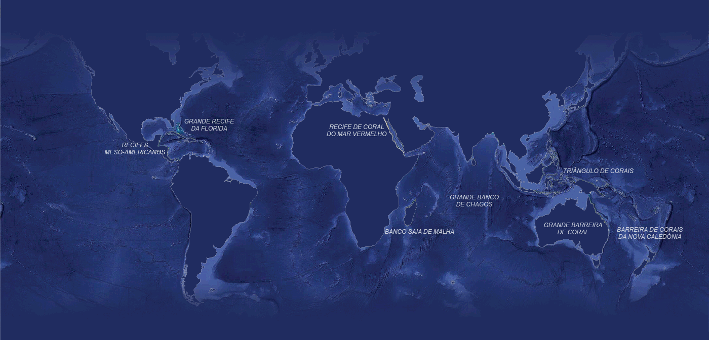 Mapa de coral