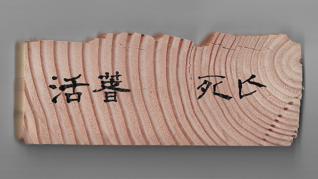 "Vida ou morte" em mandarim