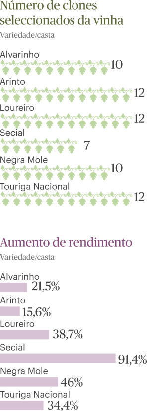 As castas são filhas da mãe — e do pai (parte II)