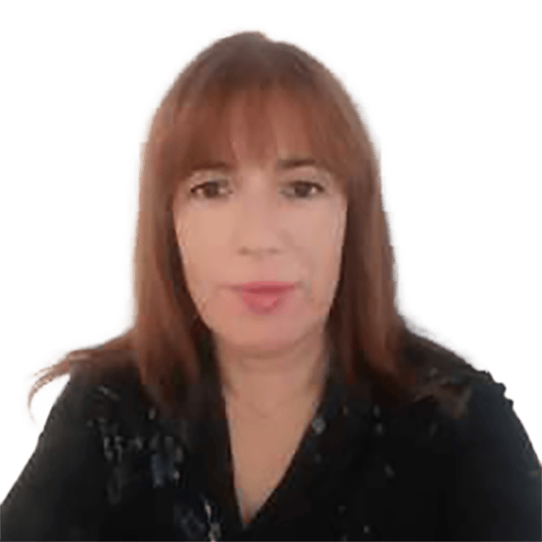 Texto alternativo