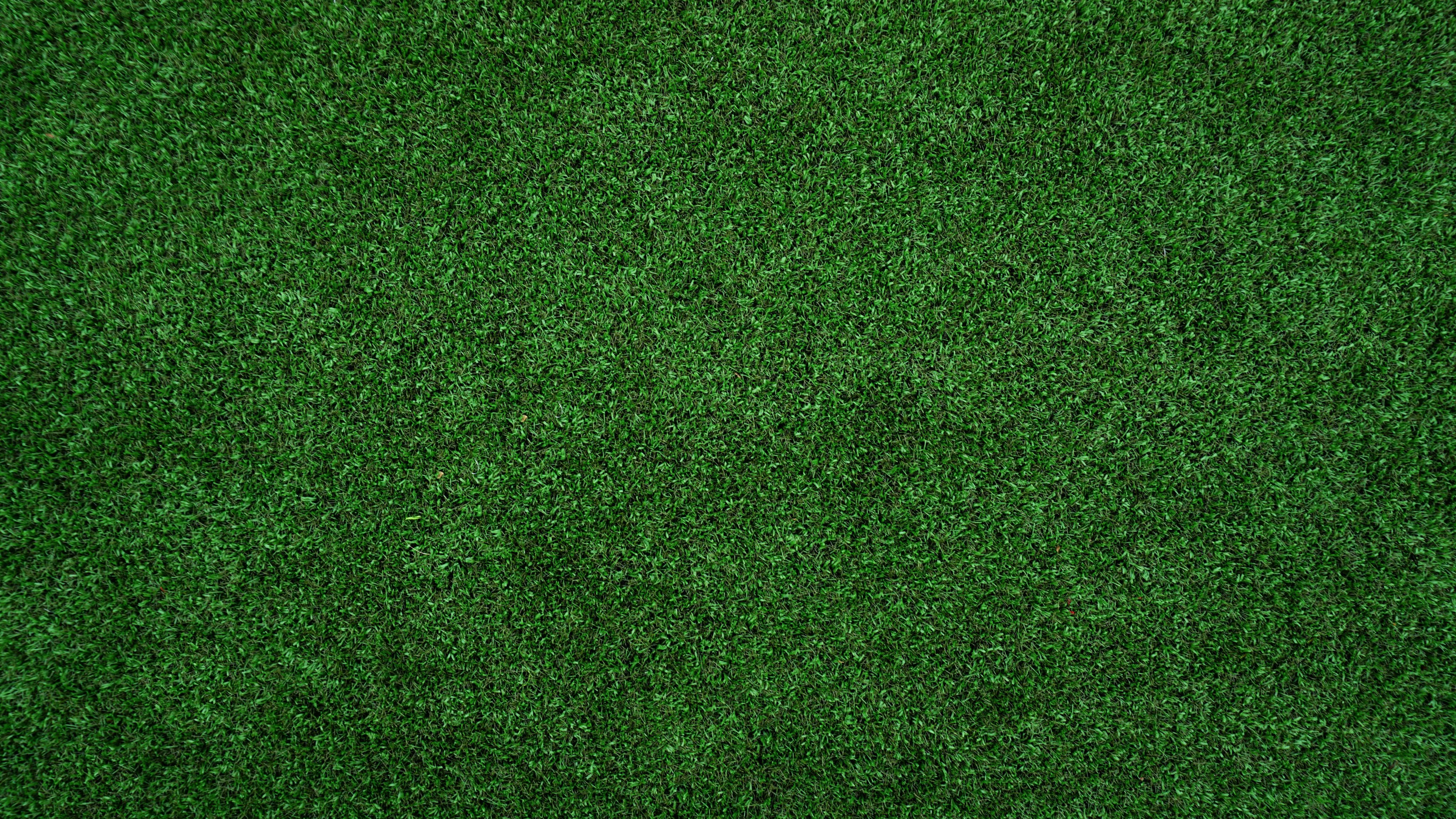 topview of grass lawn