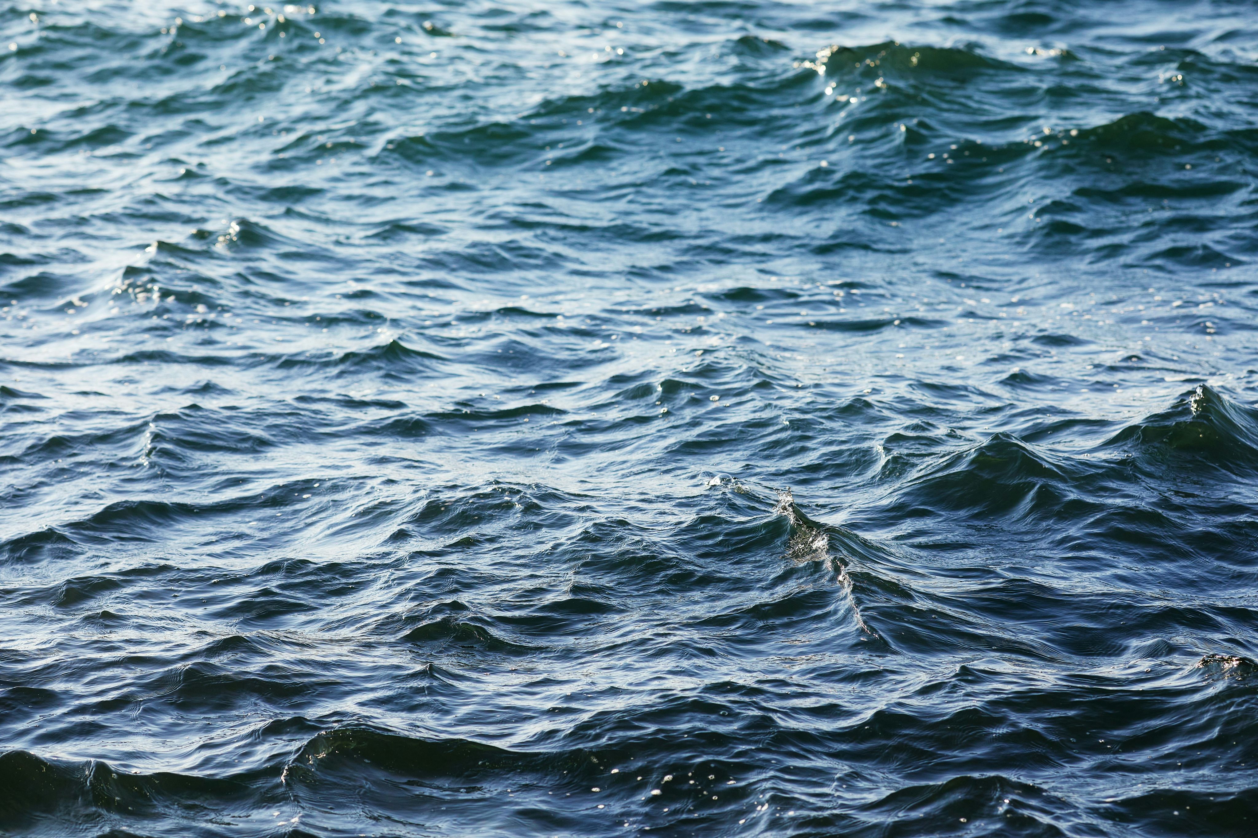 body of water during daytime