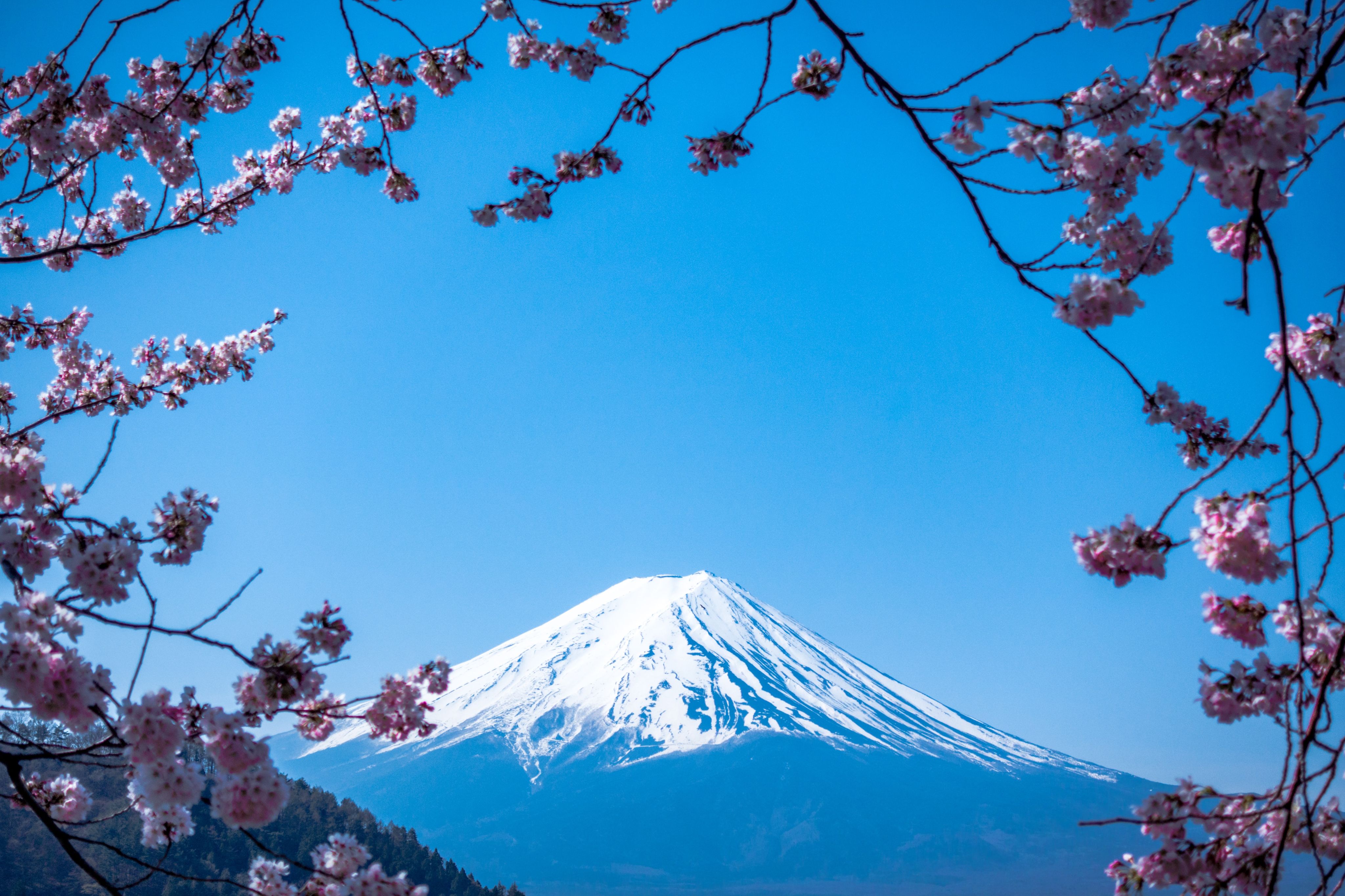 Mt. Fuji, Japan