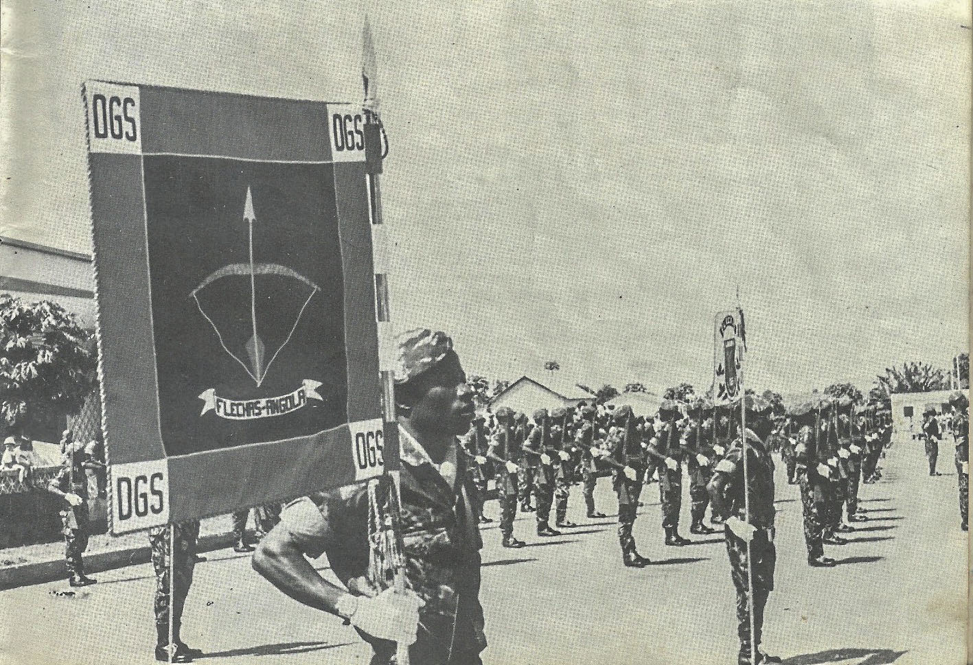 Alguma literatura publicada nega a existência dos Flechas em Moçambique, mas a documentação original da PIDE e desta comissão militar menciona-a, localizando um quartel nos arredores de Vila Pery